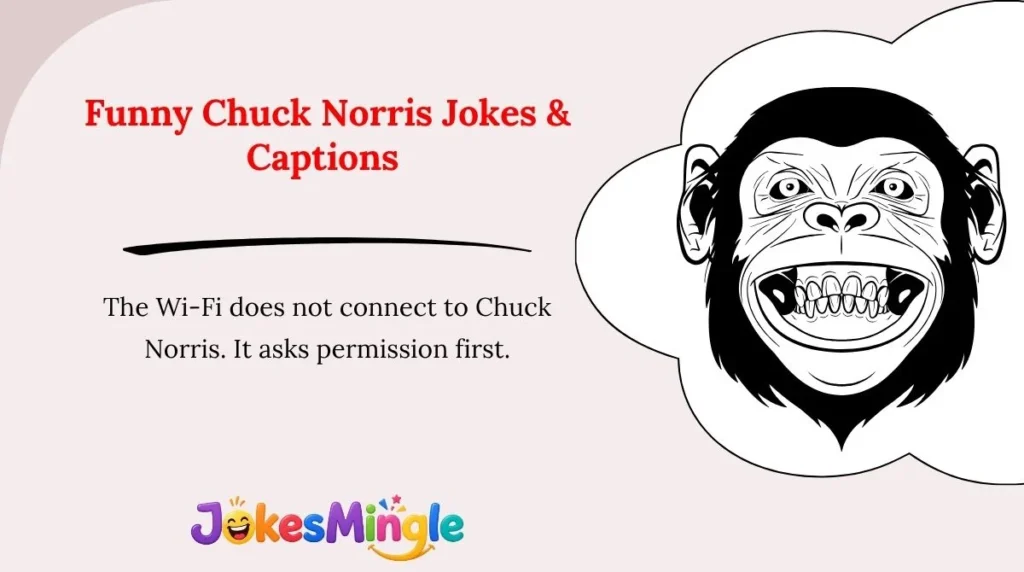 Funny Chuck Norris Jokes & Captions