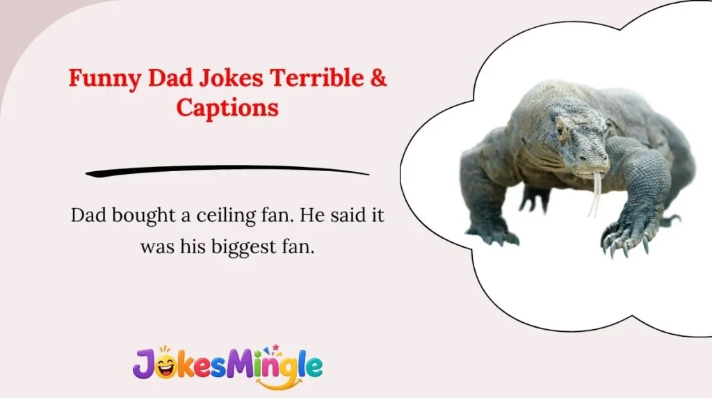 Funny Dad Jokes Terrible & Captions 😂