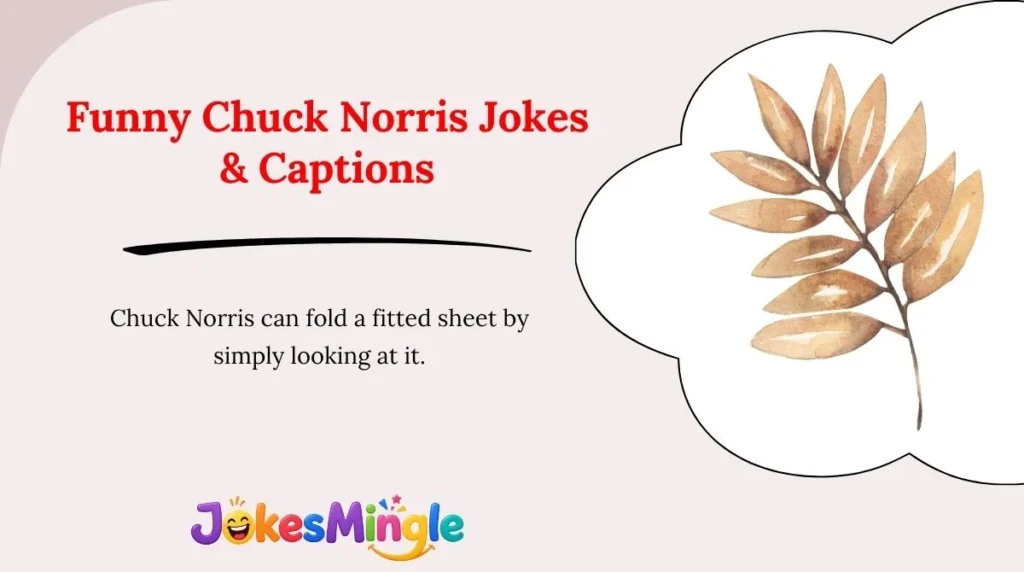 Funny Chuck Norris Jokes & Captions 😂