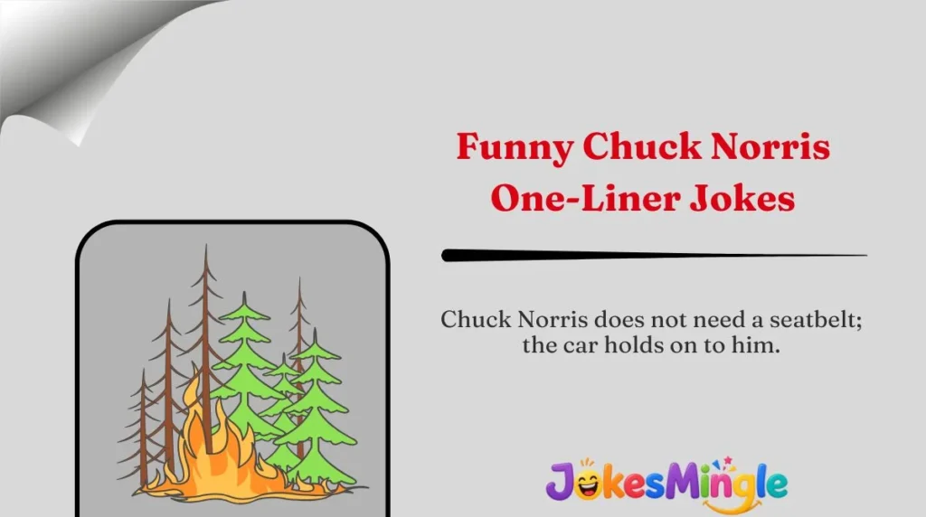 Funny Chuck Norris One-Liner Jokes