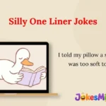 Silly One Liner Jokes