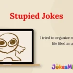 Stupied Jokes