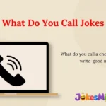 What Do You Call Jokes