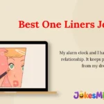 Best One Liners Jokes